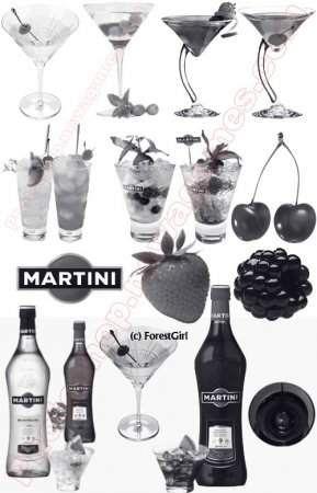 Brush Drinks: Martini